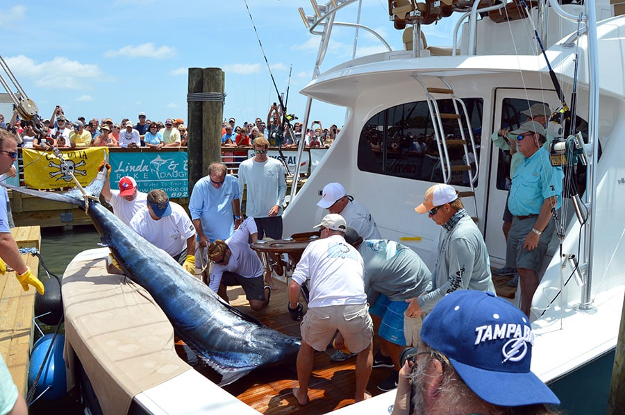 Taking the Lead on a Viking Yacht at the Big Rock Blue Marlin
