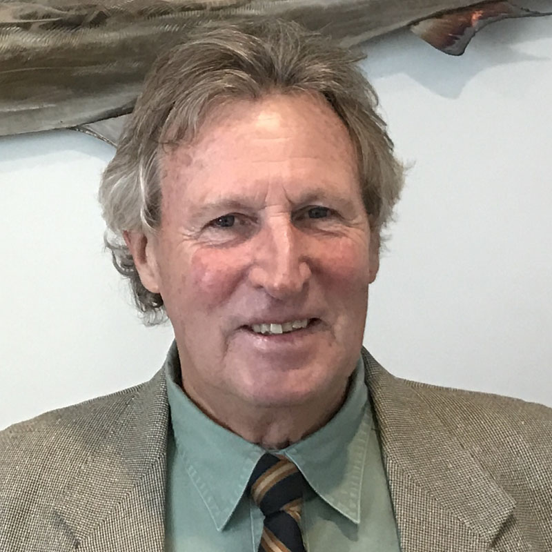 Peter Morse
